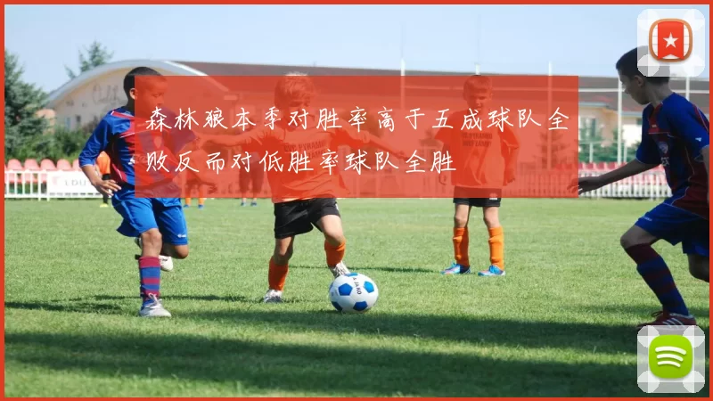 森林狼本季对胜率高于五成球队全败反而对低胜率球队全胜