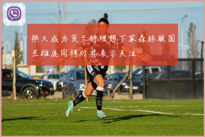 热火成为莫兰特理想下家森林狼国王雄鹿同样对其表示关注